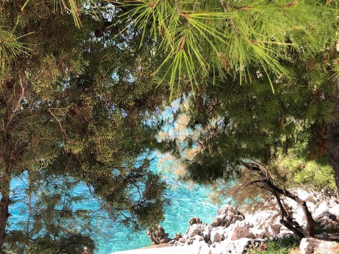 Villa Dani Sea & Pool Apartments Trogir Dış mekan fotoğraf